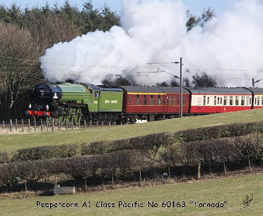 A1 Steam Loco Tornado 9Y487D-084.JPG